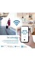 Смарт-розетка Quanatum TUYA 20A EU WiFi Smart Socket