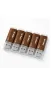 Флешка USB 4GB Hi-Rali Corsair бронза