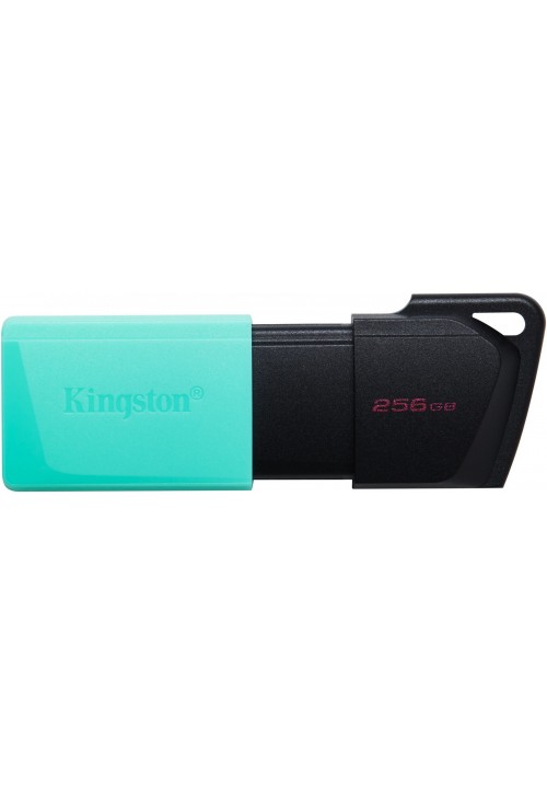 Флеш-пам'ять USB Kingston DT Exodia M 256GB Black + Teal USB 3.2 (DTXM/128GB)