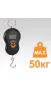 Кантер Smile 601 (до 50 кг)