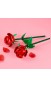Конструктор LEGO® Botanicals Троянди (40460)