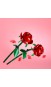 Конструктор LEGO® Botanicals Троянди (40460)