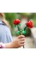 Конструктор LEGO® Botanicals Троянди (40460)