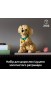 Конструктор LEGO® Icons Цуценя золотистого ретривера (11384)