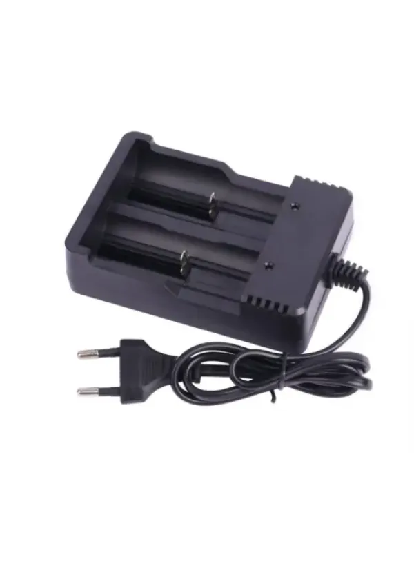 Зарядний на 2 акумулятори Li-ion MS-282A