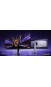 Монітор ігровий 34" Xiaomi Curved Gaming Monitor G34WQi 2026 (ELA6562EU)