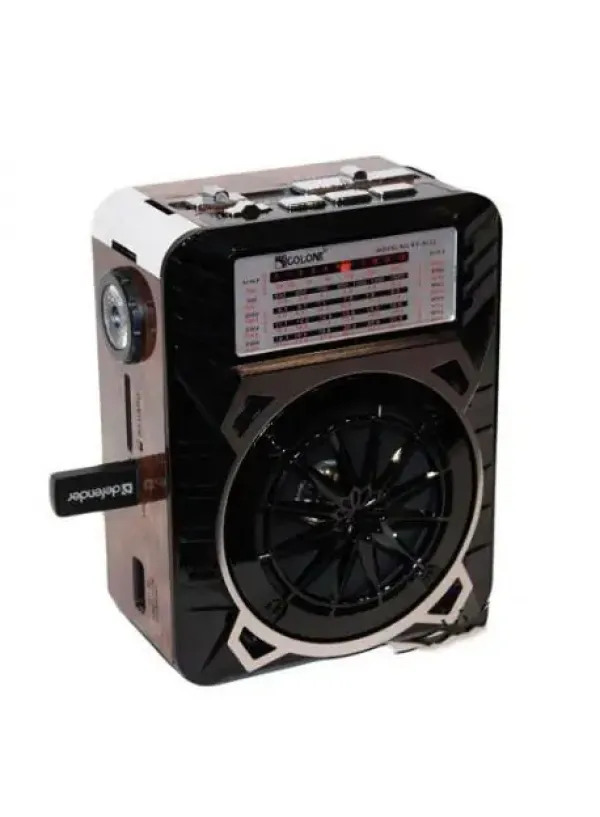 Радіоприймач USB ФМ динамік FM GOLON RX-9122
