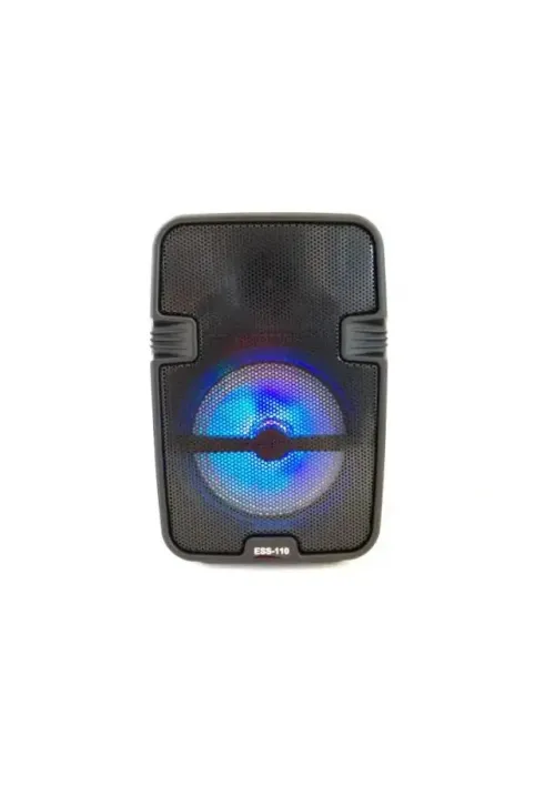 Портативна колонка міні-валіза з bluetooth ESS-110
