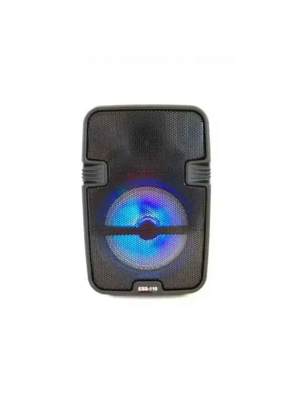 Портативна колонка міні-валіза з bluetooth ESS-110